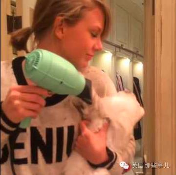 霉霉和她的猫咪,霉霉两只猫叫什么名字