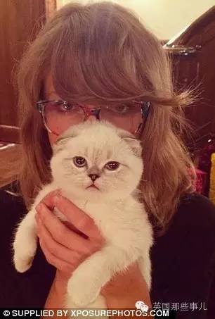 霉霉和她的猫咪,霉霉两只猫叫什么名字