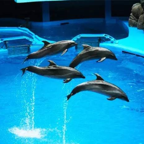 青岛旺季住宿攻略,青岛出行交通攻略