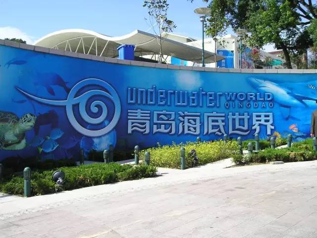 青岛旺季住宿攻略,青岛出行交通攻略