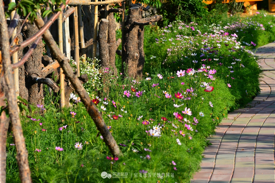 寻觅夏季的清凉,寻觅市井烟火感受光阴阑珊