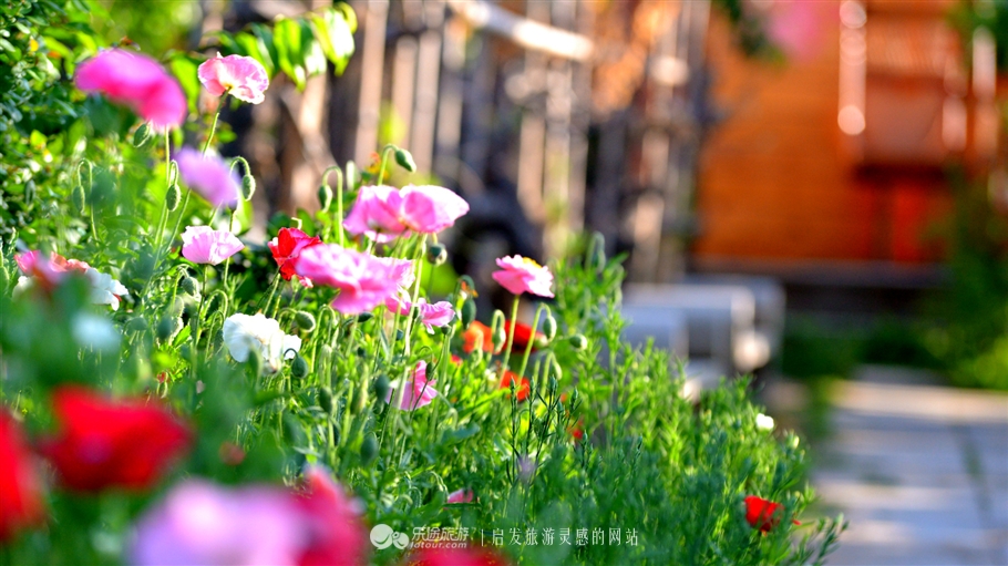 寻觅夏季的清凉,寻觅市井烟火感受光阴阑珊