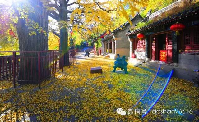 假如崂山，是朕的后宫~