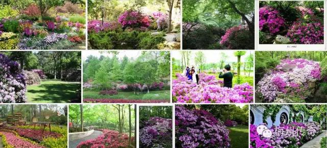 梅州客天下旅游产业园的特点,梅州梅县客天下5a级旅游区