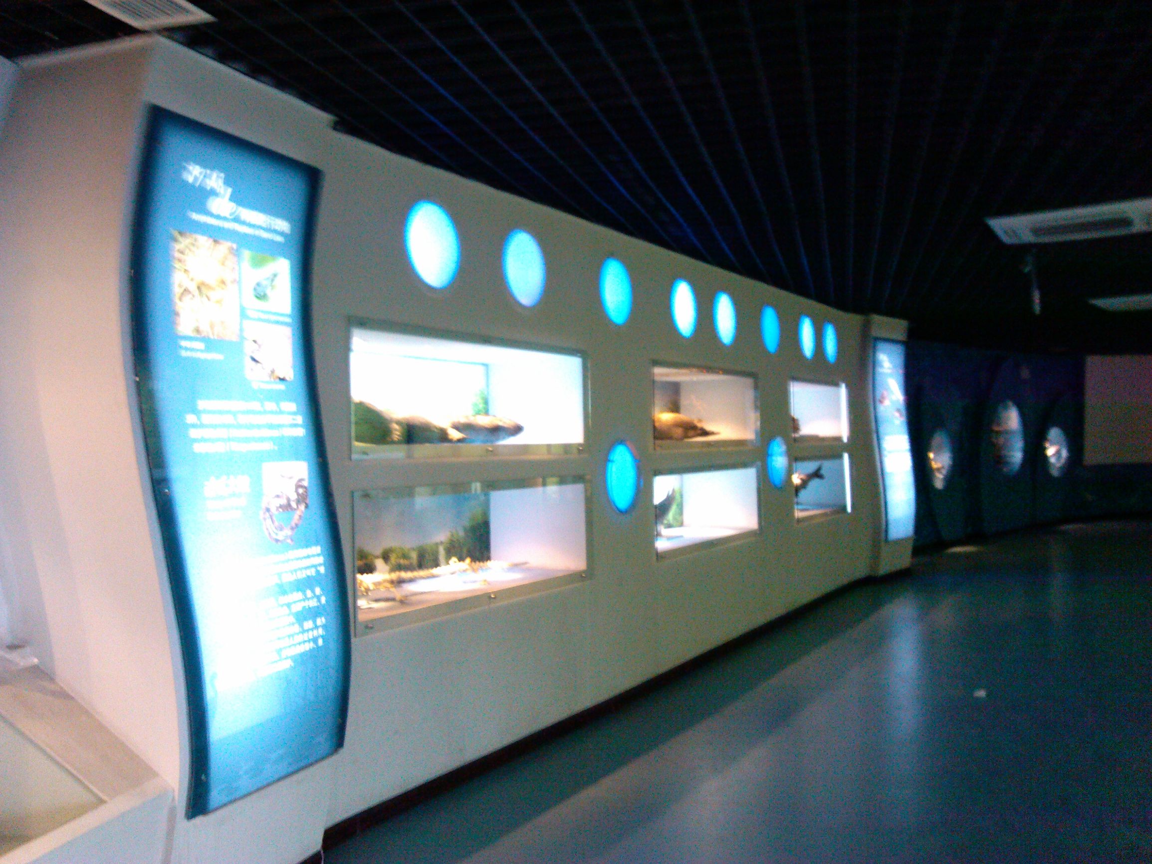 狂撒狗粮虐单身狗,银川精品一日游