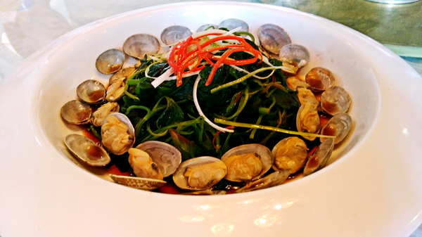 长假远行,假期小旅行