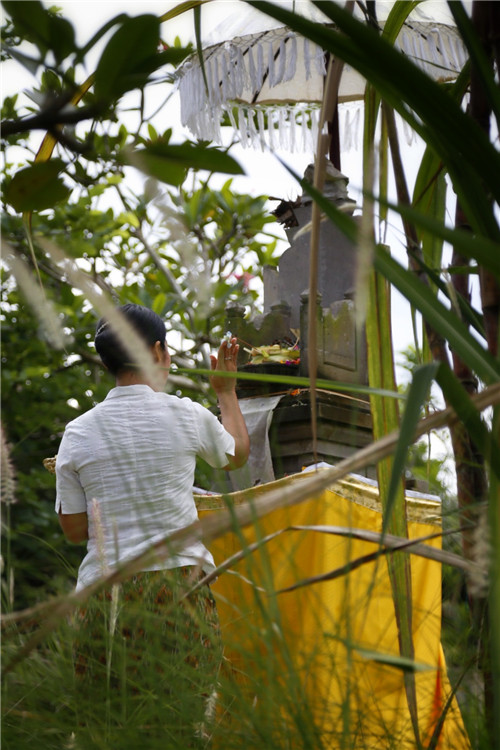 巴厘岛和我想象中的不一样,巴厘岛简直是人间天堂