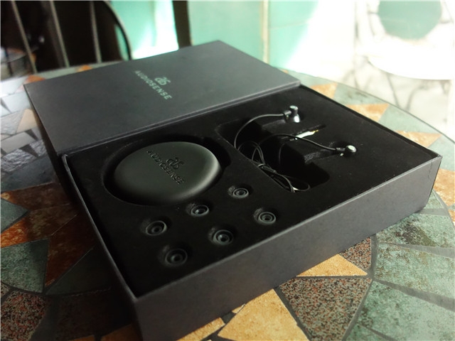 入耳随心，听出自我——AudioSenseAS10