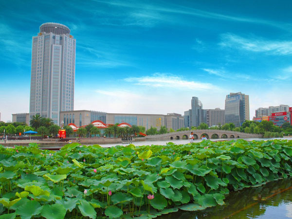 东莞凭什么是全国最富的城市之一,东莞特大城市排名第一