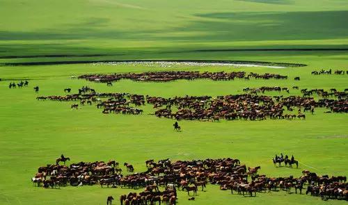 海拉尔城堡旅游攻略,海拉尔玩的地方攻略