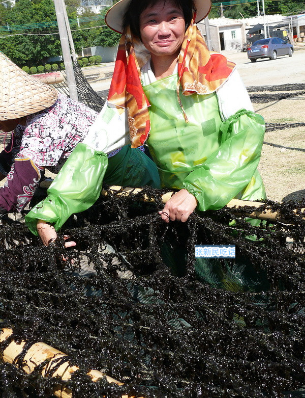 潮汕紫菜有多厉害,紫菜到底好不好