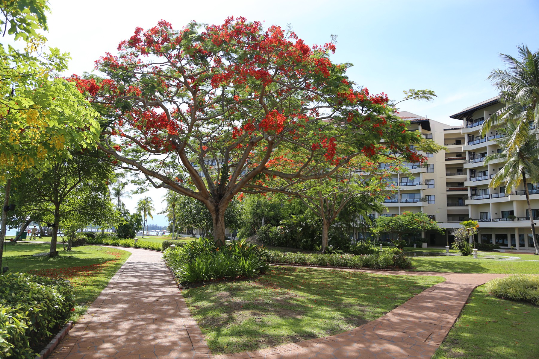 三亚马来西亚旅游,不要再去又挤又贵的三亚