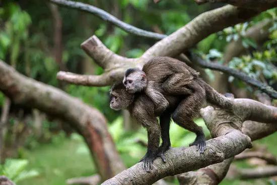 长隆适合小朋友玩的地方,长隆有哪些小朋友可以玩的项目