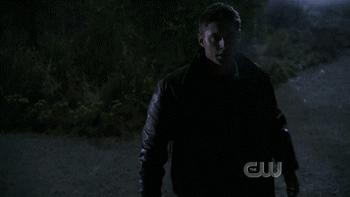 巫师三主线完美结局,巫师3血与酒剧情深度解析