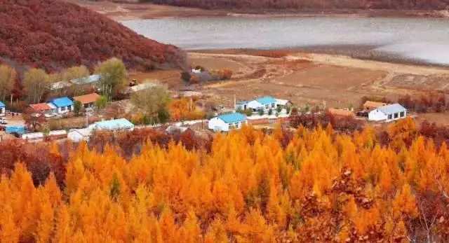 莫力达瓦我的家,莫力达瓦官网