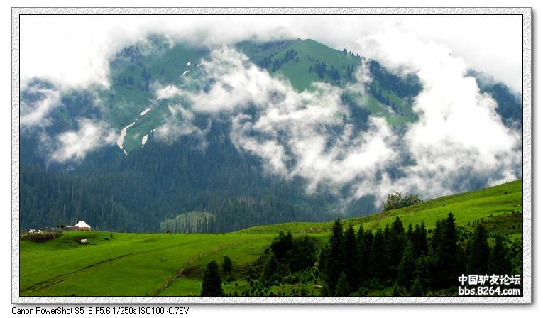 梦里花开——*疆新**，又一次的心动