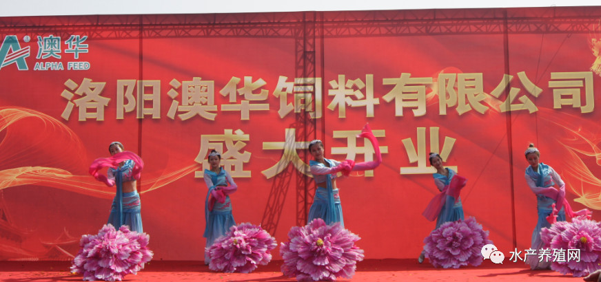 逐鹿中原九州腹地,逐鹿中原攻城