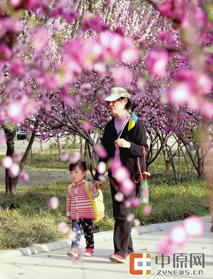 乱花丛中“迷”了眼可能是过敏赏花后要及时洗手洗脸