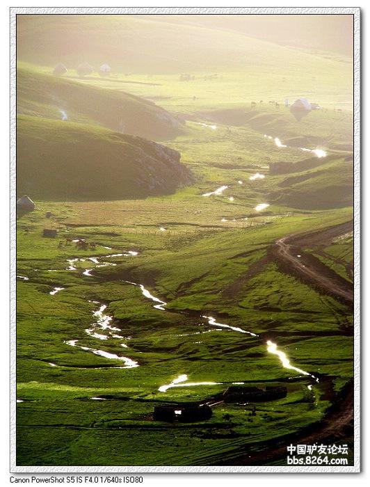 梦里花开——*疆新**，又一次的心动