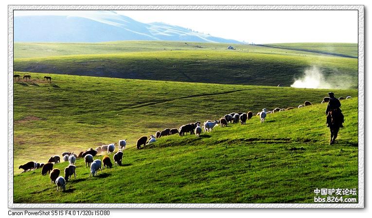 梦里花开——*疆新**，又一次的心动