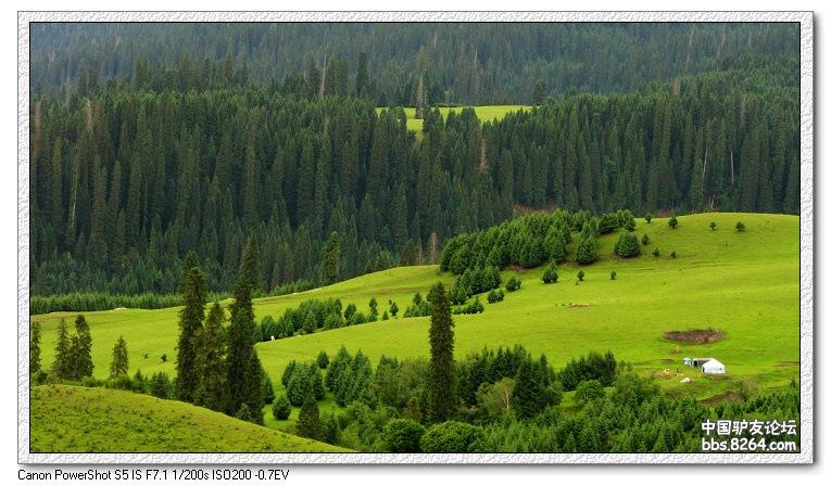梦里花开——*疆新**，又一次的心动