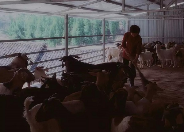 潇湘春早｜比一比晒一晒永州哪个县区最火热！