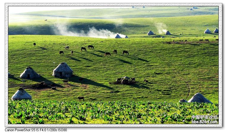 梦里花开——*疆新**，又一次的心动
