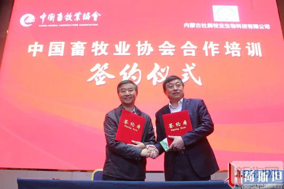 反刍畜牧养殖,反刍动物养殖现状