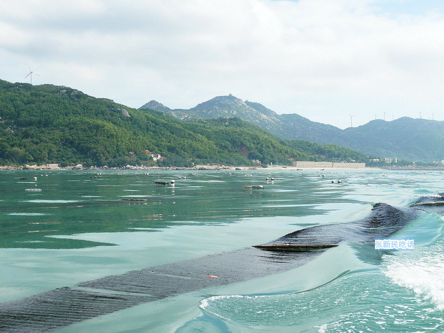 潮汕紫菜有多厉害,紫菜到底好不好