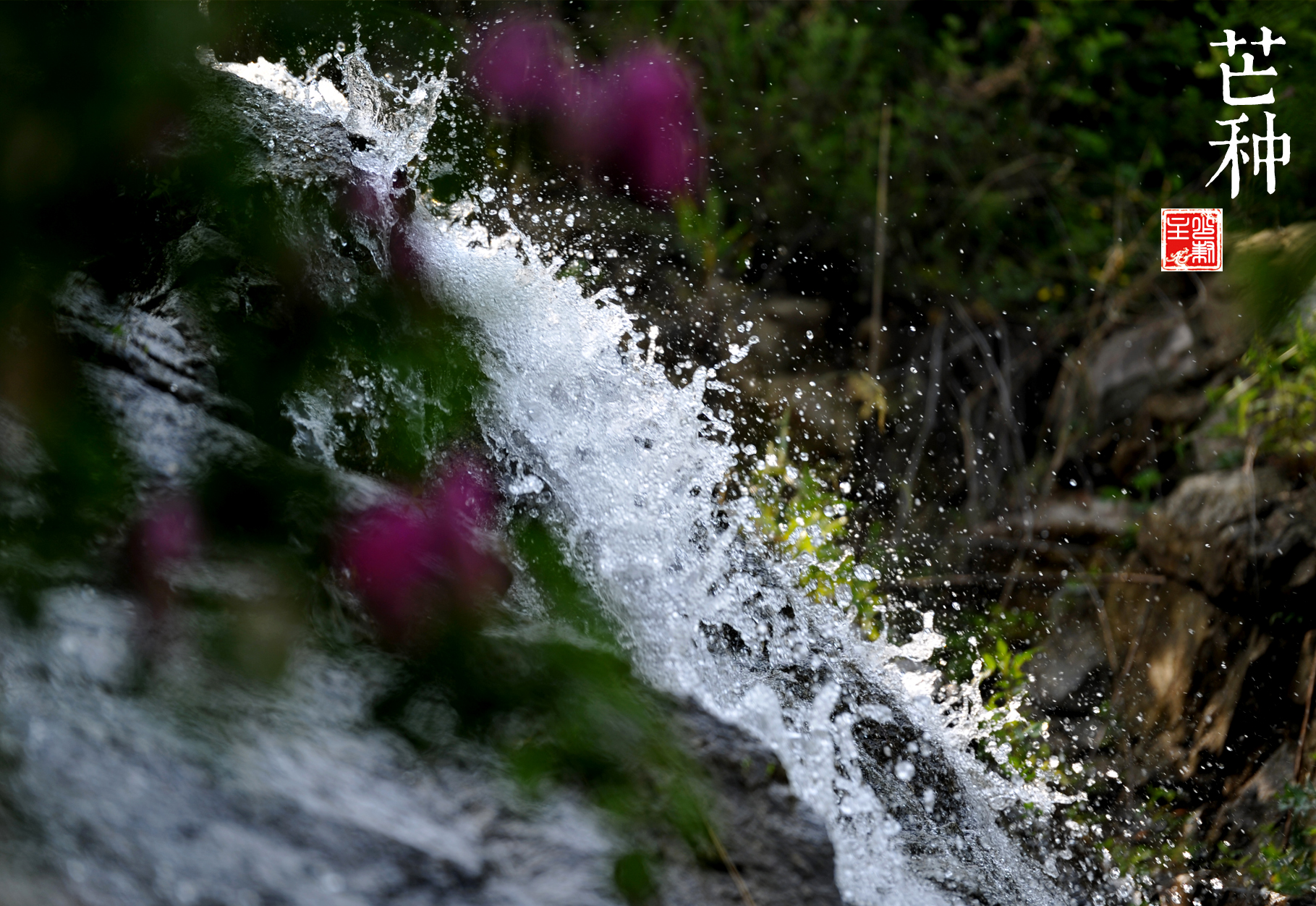猴年马月是什么说法,猴年马月有什么说法