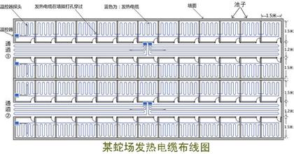 养毒蛇一年利润,养毒蛇靠什么赚钱