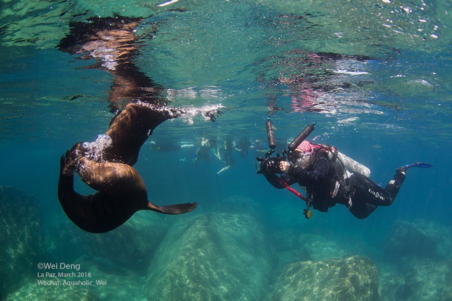 去墨西哥必备物品清单,去墨西哥必带的礼物