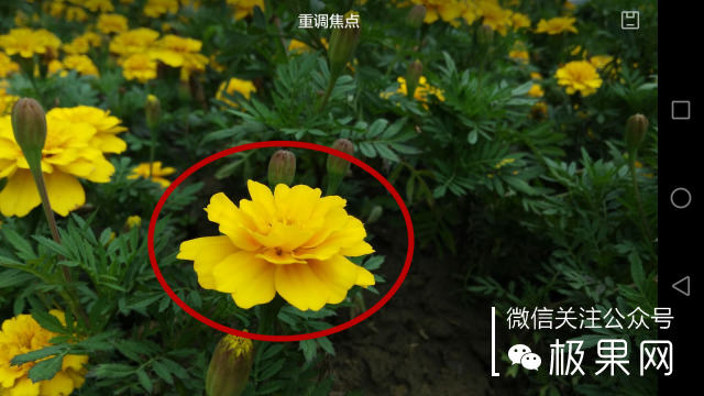 翻转吧摄像头，前后都能照出完美的照片：荣耀7i体验