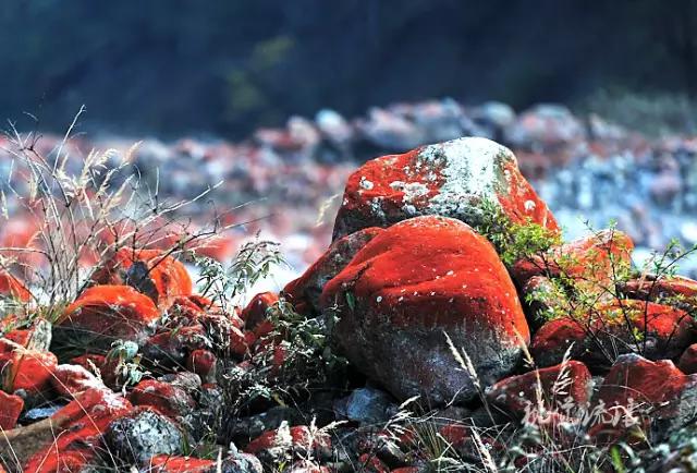 燕子沟有哪些好玩的地方,燕子沟云海风景