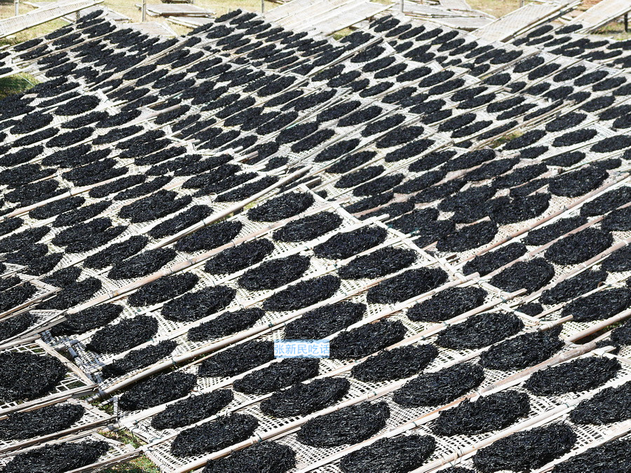 潮汕紫菜有多厉害,紫菜到底好不好