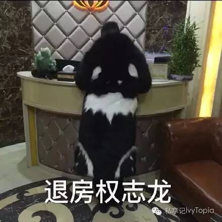 淘宝同款和明星原款区别,淘宝上这么多同款应该选哪样