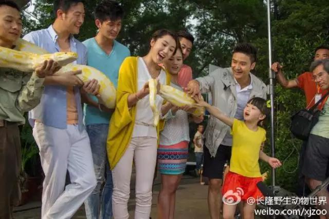 长隆适合小朋友玩的地方,长隆有哪些小朋友可以玩的项目