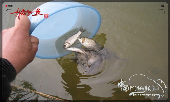 风雨无阻之我爱飞鱼去‘*欢寻**’！