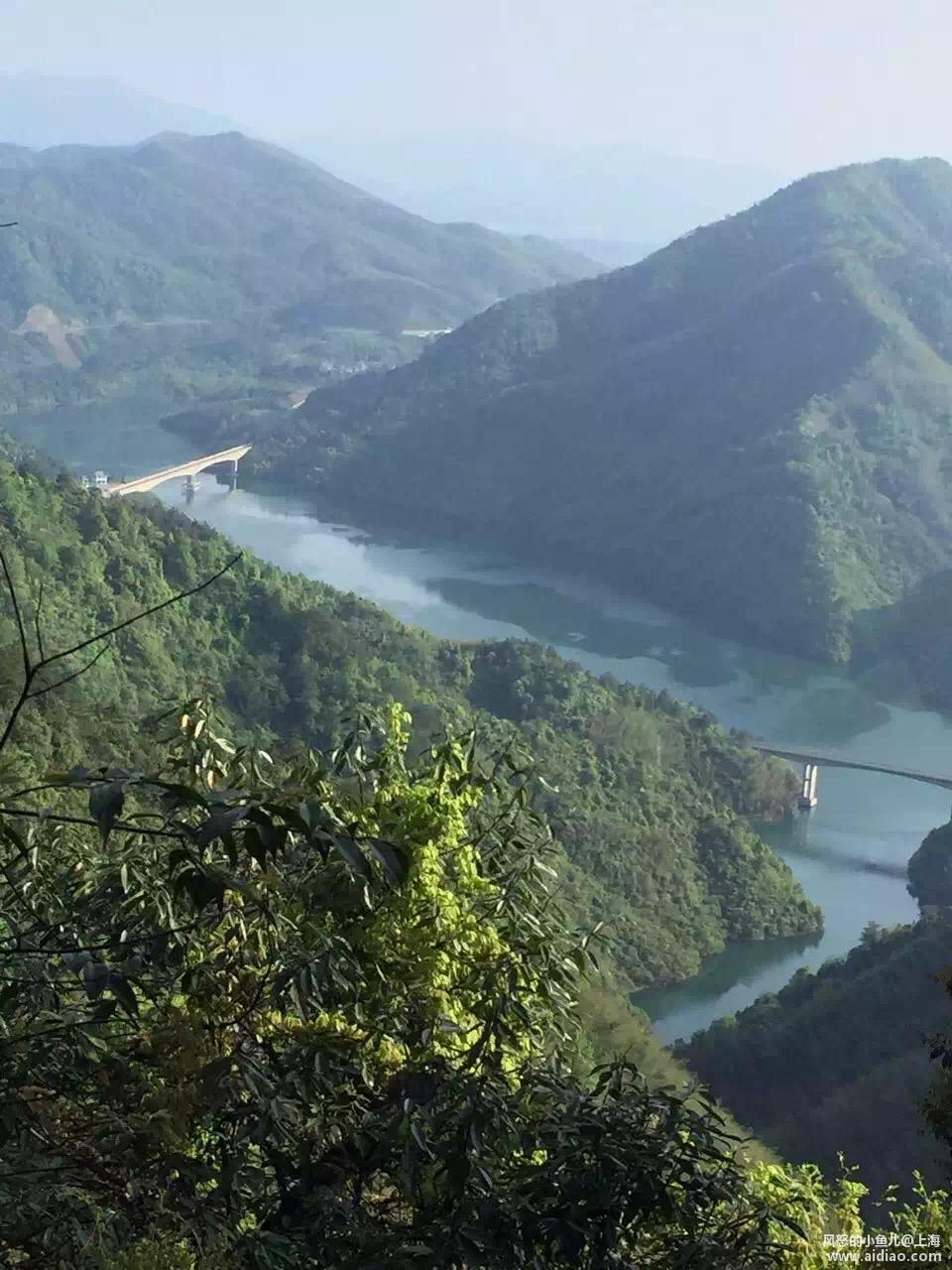 游钓太平湖视频,游钓太平湖