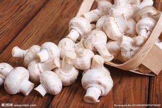 快来！听营养师教你吃蘑菇！