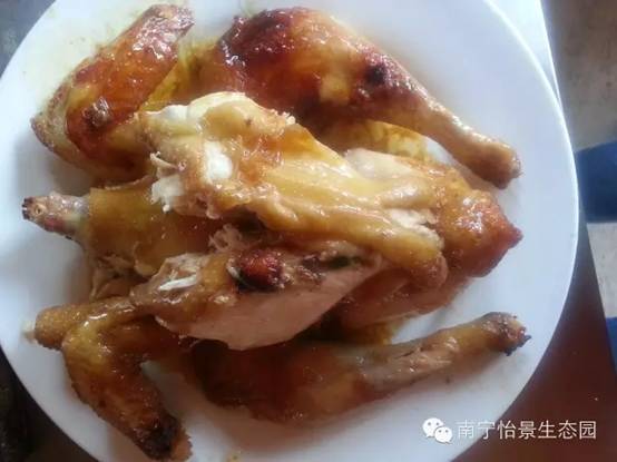 南宁十大最美农家乐推荐,南宁农家乐排行榜适合小朋友