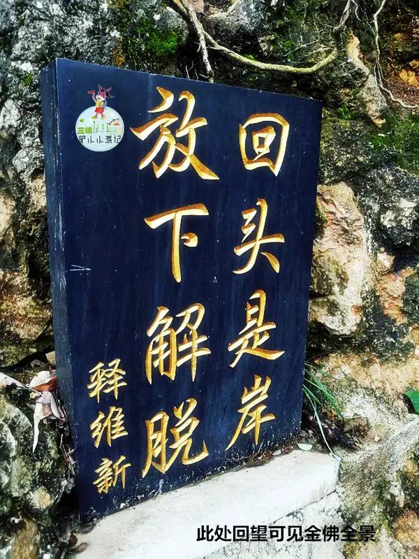 千名导游说宜昌清江画廊,清江画廊是否值得去