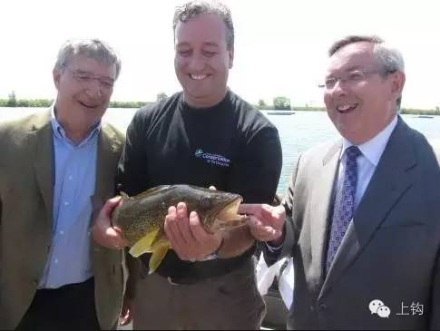 五分钟带你逛遍温哥华,带你吃遍温哥华