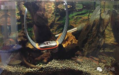 37度手环评测,37度试驾测评