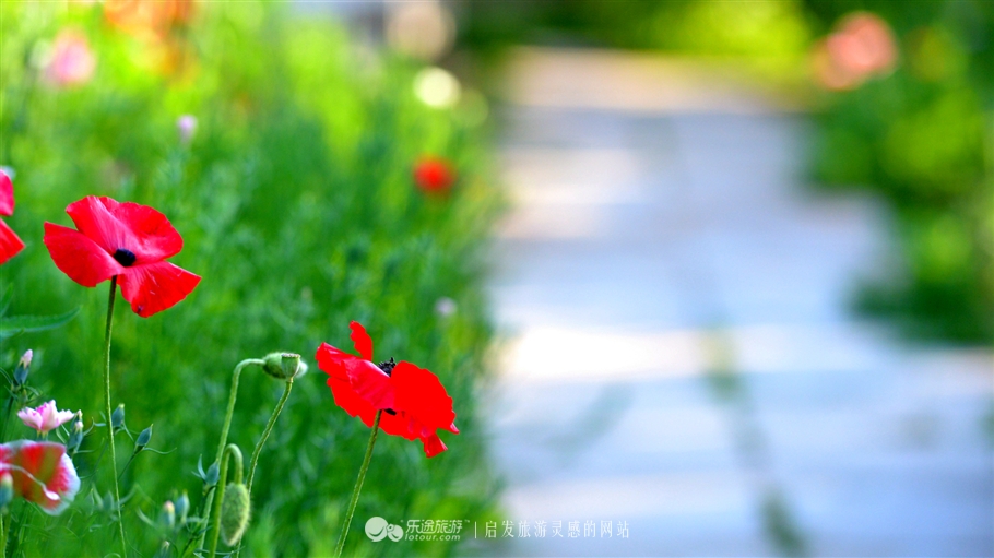 寻觅夏季的清凉,寻觅市井烟火感受光阴阑珊