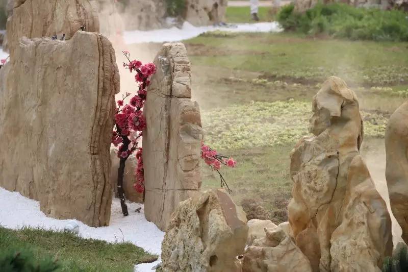 徐冰桃花源的理想一定要实现