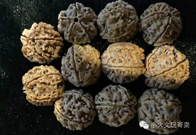 逗逼|大宝和金刚不能说的秘密！