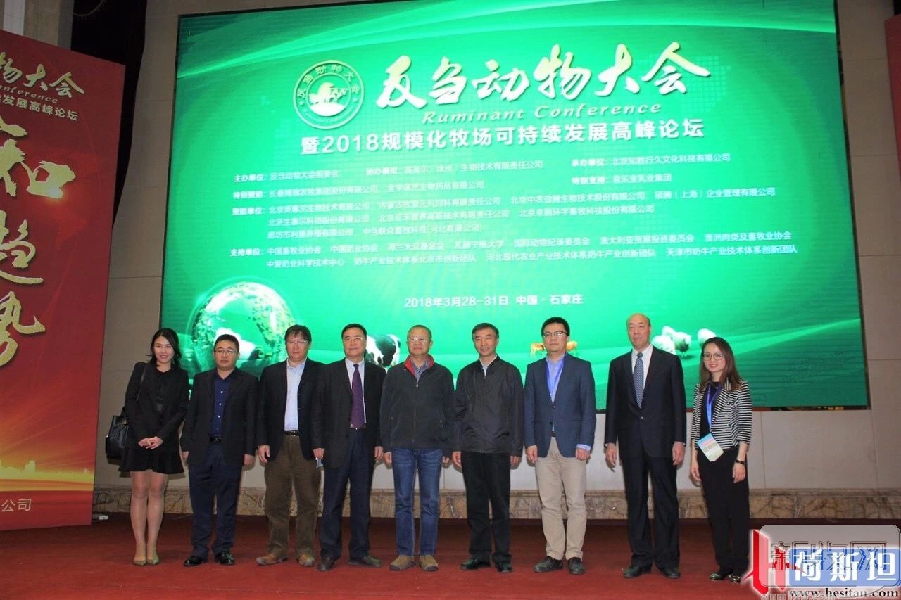 反刍畜牧养殖,反刍动物养殖现状