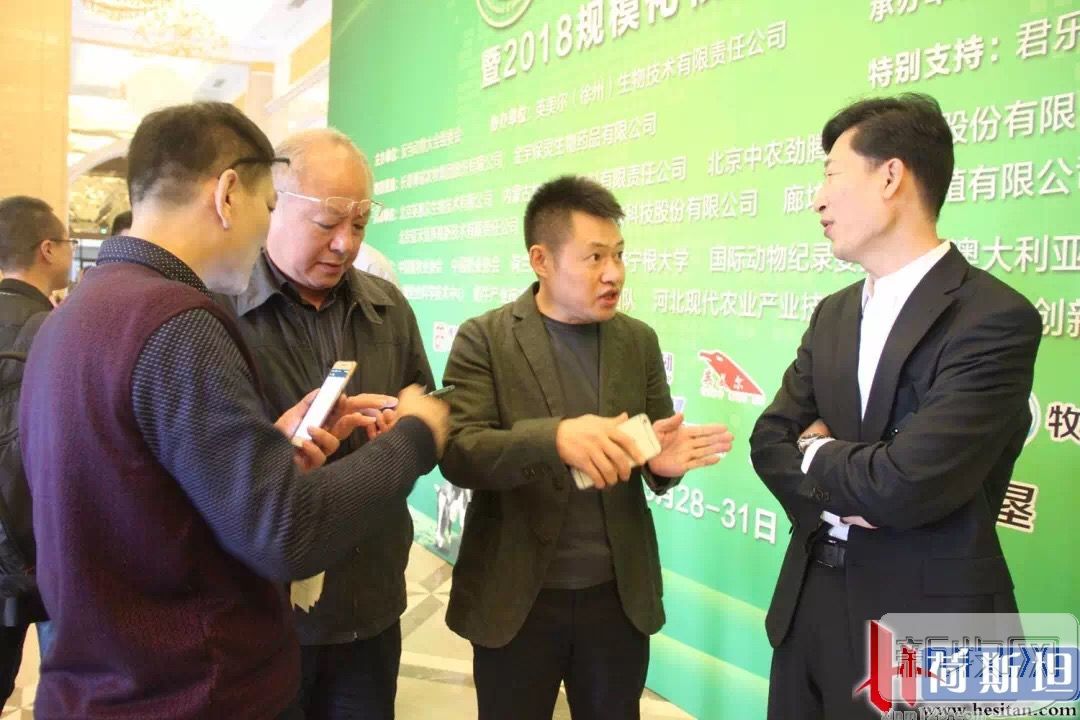 反刍畜牧养殖,反刍动物养殖现状