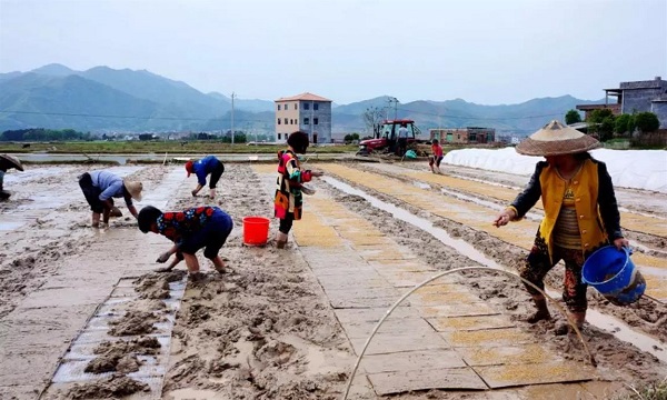 潇湘春早｜比一比晒一晒永州哪个县区最火热！